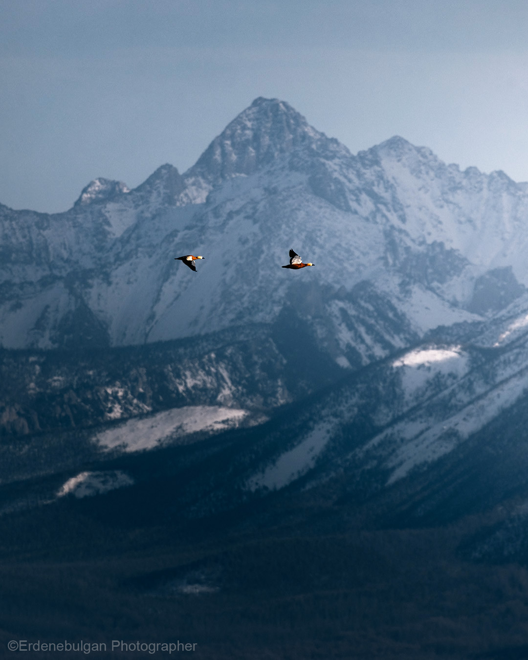 How to set credible climate targets